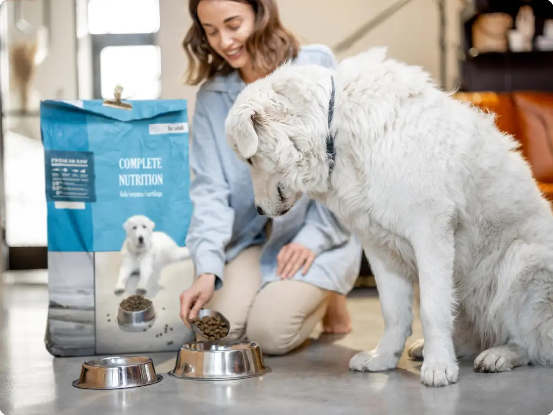 Case Studies Pet Supply Market